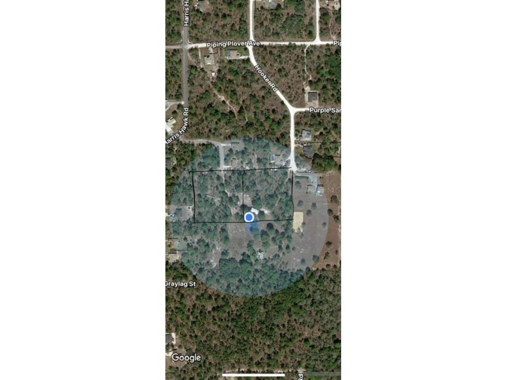 12351 Hooker Road Weeki Wachee FL 34614 TB8432960 image1