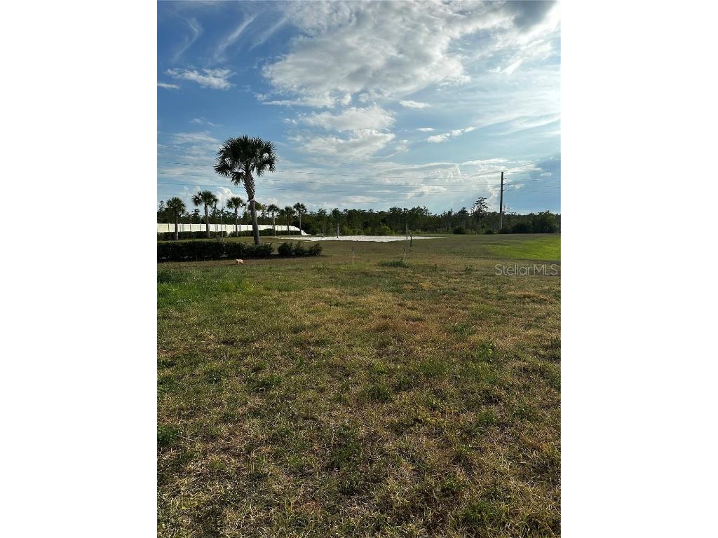 12351 Northover Loop Orlando FL 32824 S5107455 image57