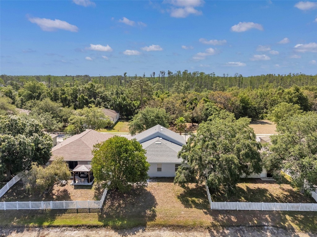 12351 Ridgedale Drive Hudson FL 34669 TB8379006 image47