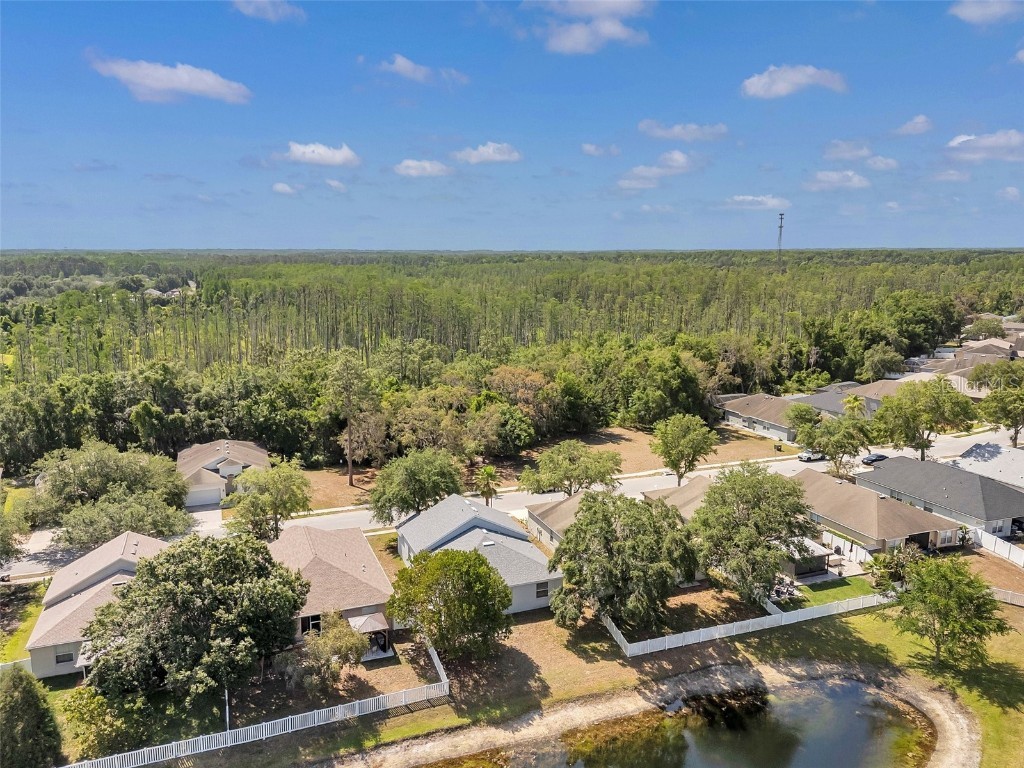 12351 Ridgedale Drive Hudson FL 34669 TB8379006 image48