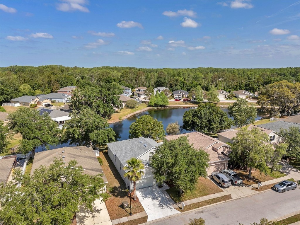 12351 Ridgedale Drive Hudson FL 34669 TB8379006 image49