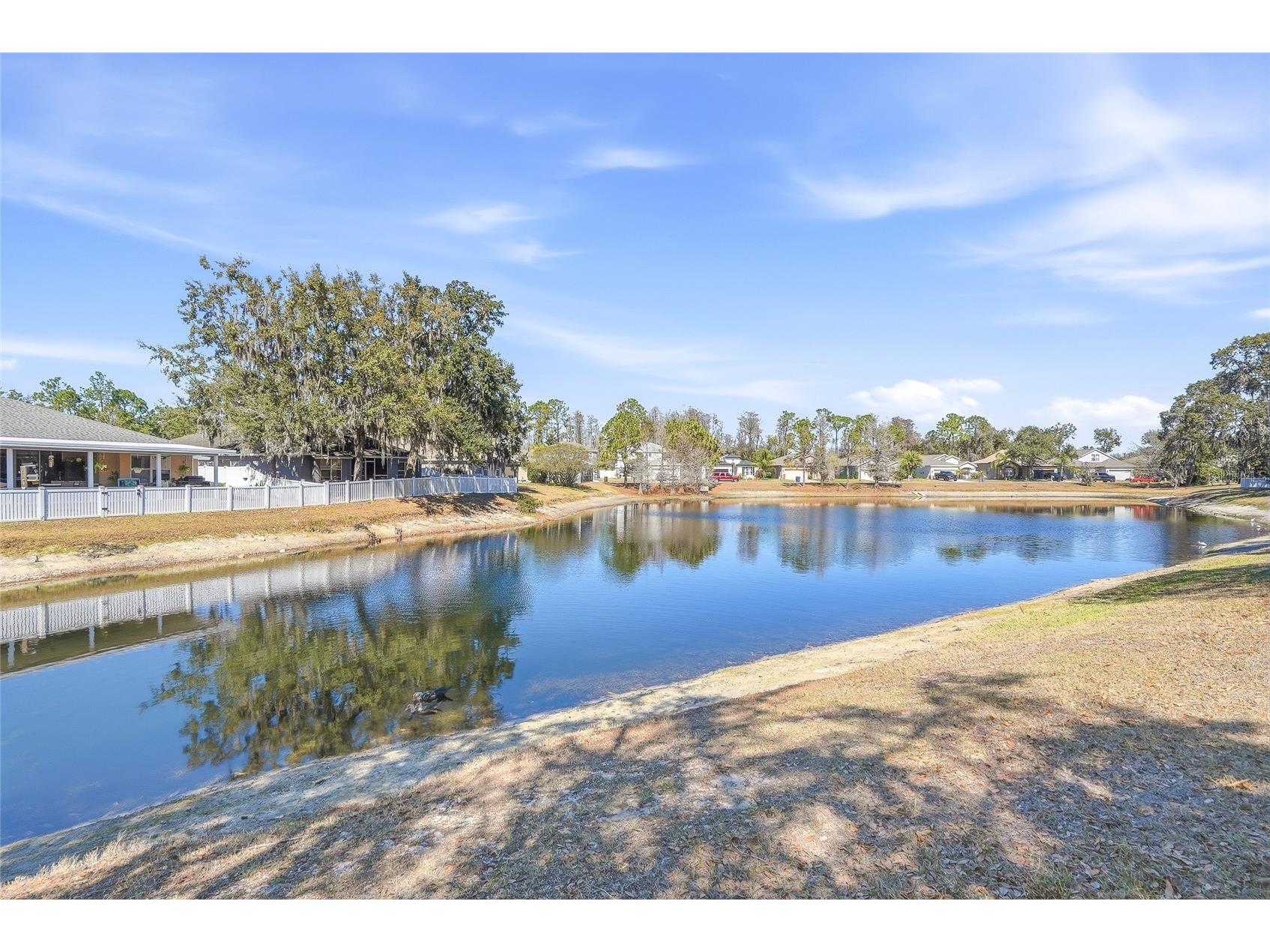 12351 Ridgedale Drive Hudson FL 34669 TB8478992 image41