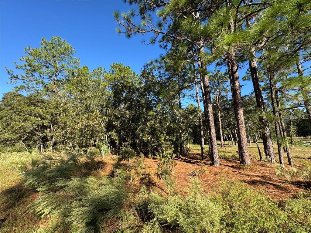 12351 SW 67th Lane Ocala FL 34481 OM711406 image1