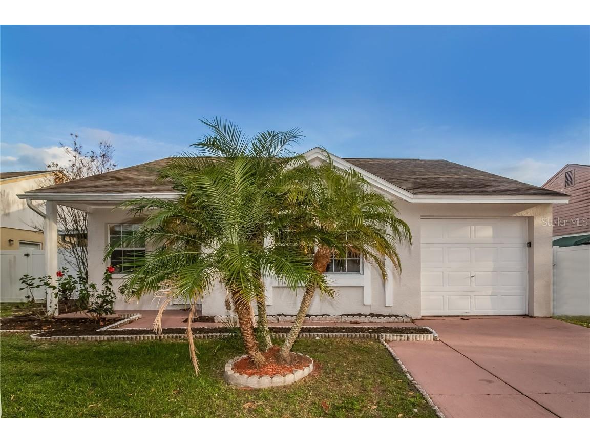 12351 Witheridge Drive Tampa FL 33624 O6355751 image1