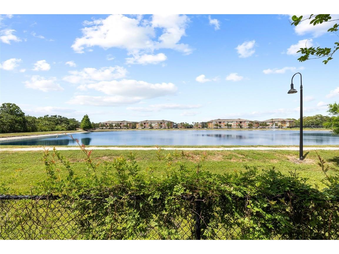 12353 Bayou Flats Lane Tampa FL 33635 TB8388926 image26