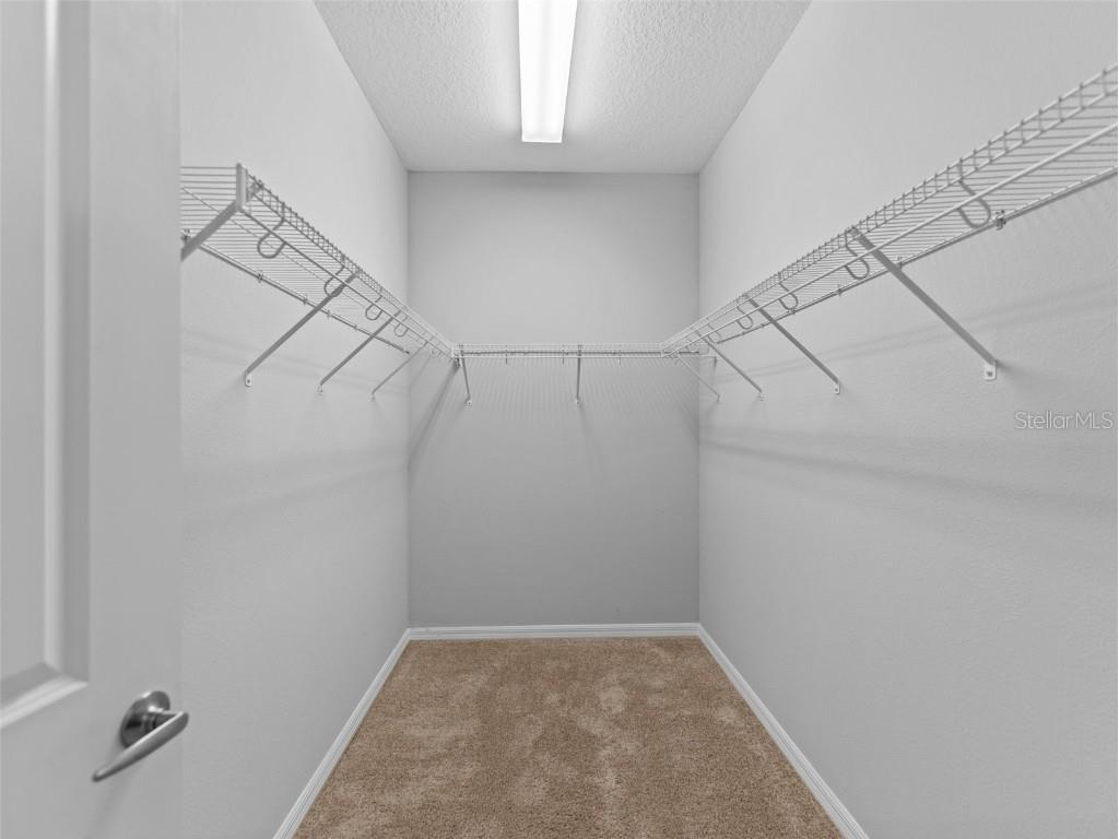 12353 Bayou Flats Lane Tampa FL 33635 TB8460348 image16