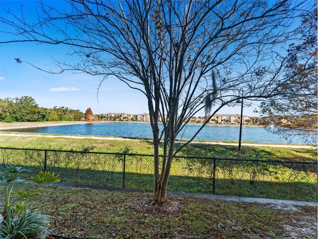 12353 Bayou Flats Lane Tampa FL 33635 TB8460348 image28