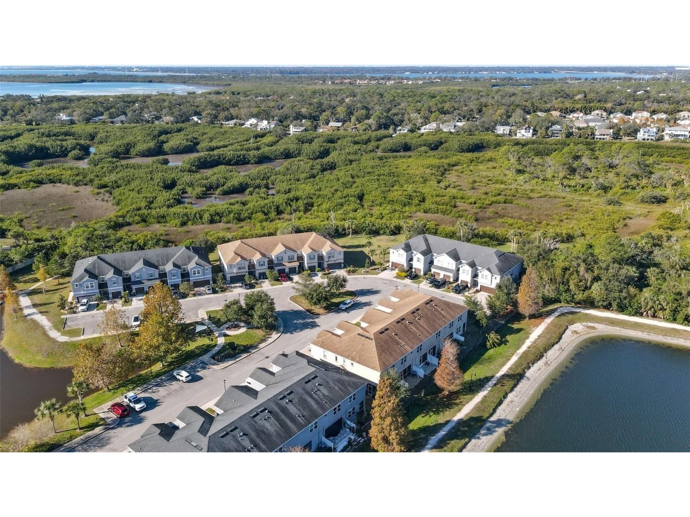 12353 Bayou Flats Lane Tampa FL 33635 TB8460348 image31