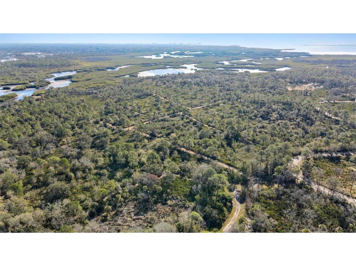 12353 Bayou Flats Lane Tampa FL 33635 TB8460348 image34