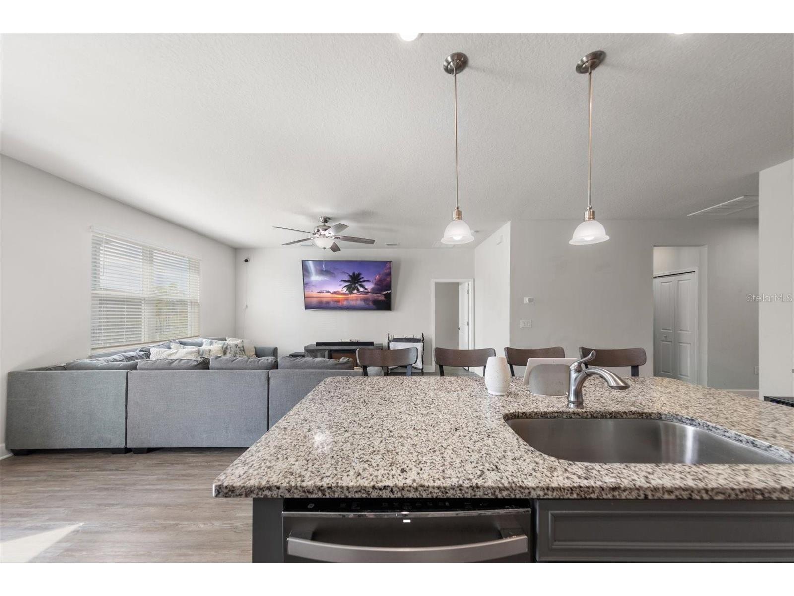 12353 Blue Pacific Drive Riverview FL 33579 TB8496960 image11