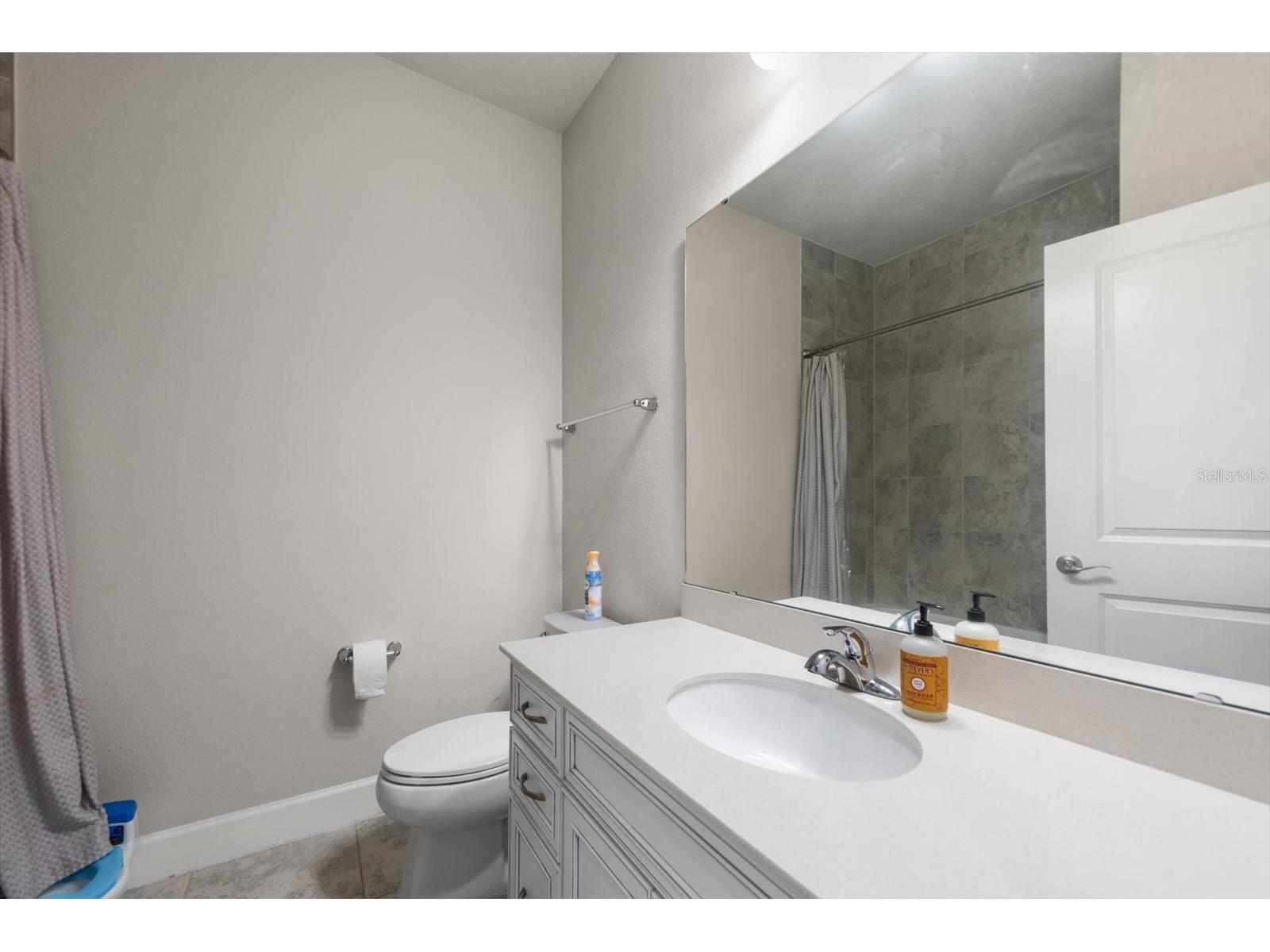 12353 Blue Pacific Drive Riverview FL 33579 TB8496960 image21