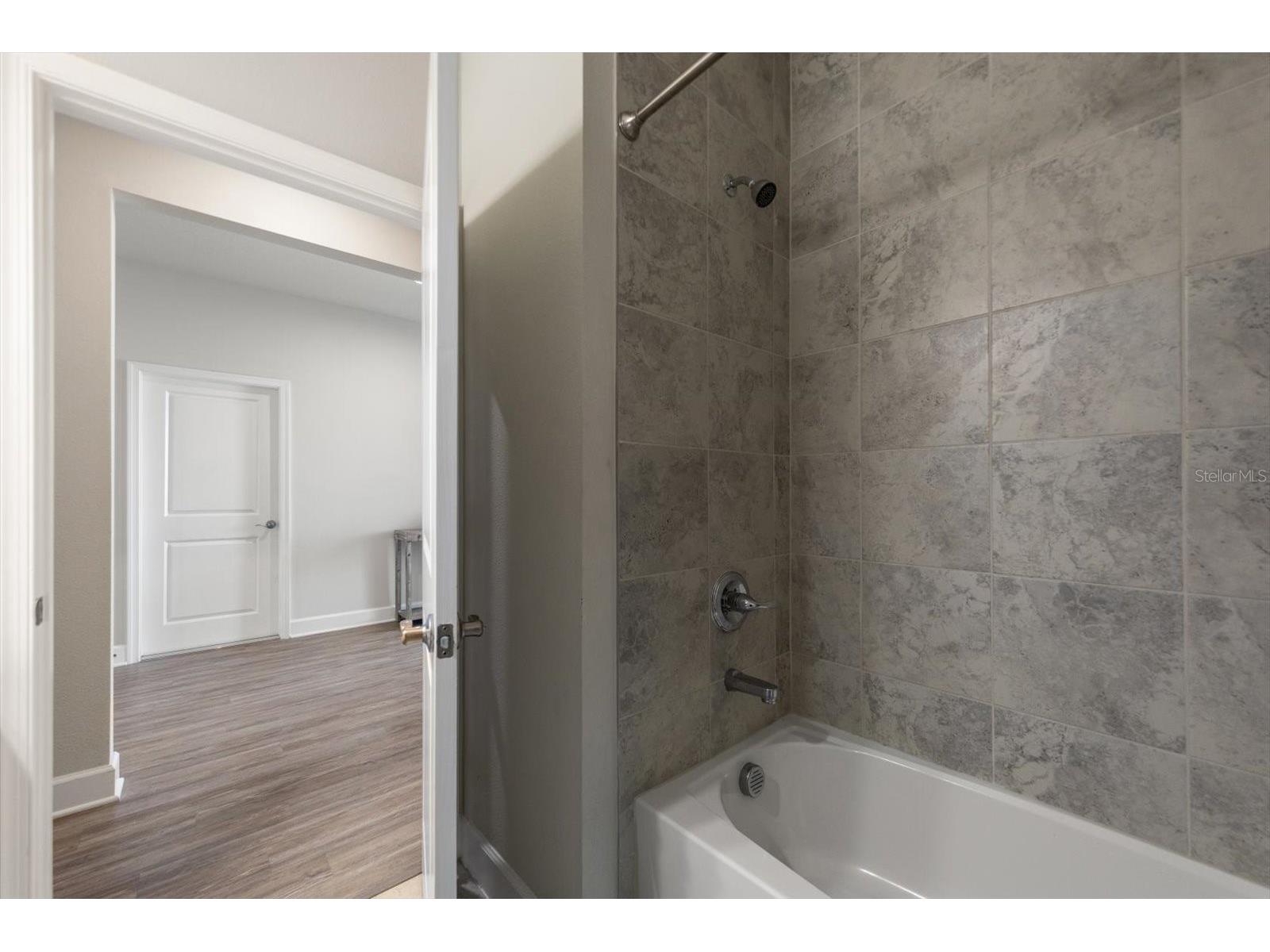 12353 Blue Pacific Drive Riverview FL 33579 TB8496960 image22