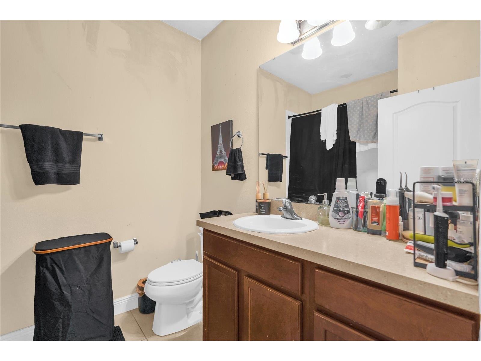 12353 Via Derna Place Windermere FL 34786 O6392401 image14