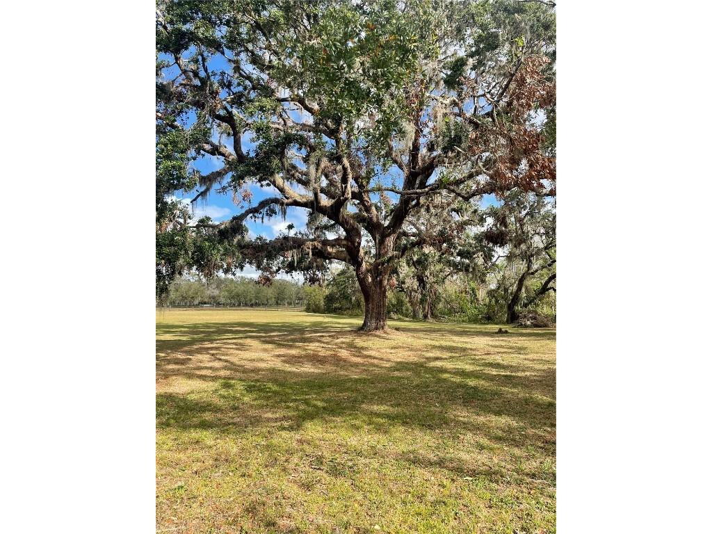 12355 Doris Road Parrish FL 34219 A4627945 image10