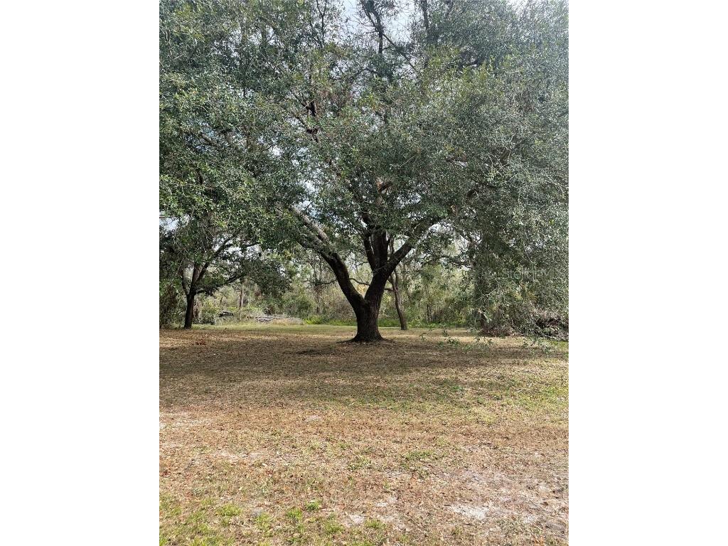 12355 Doris Road Parrish FL 34219 A4627945 image11