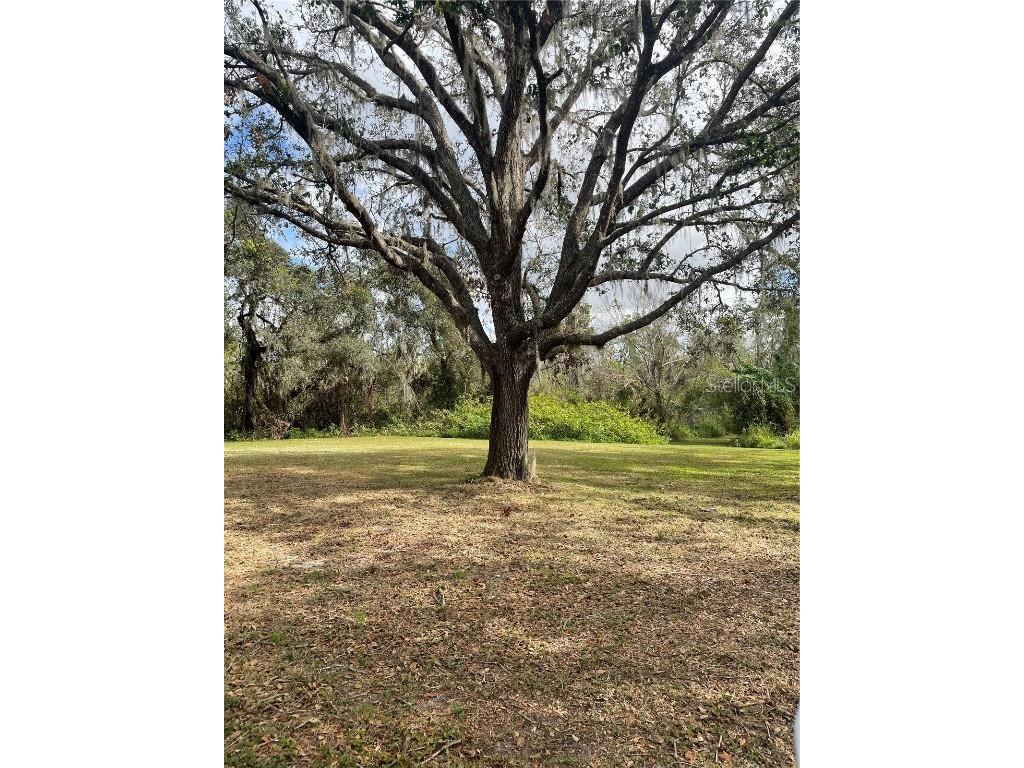 12355 Doris Road Parrish FL 34219 A4627945 image12