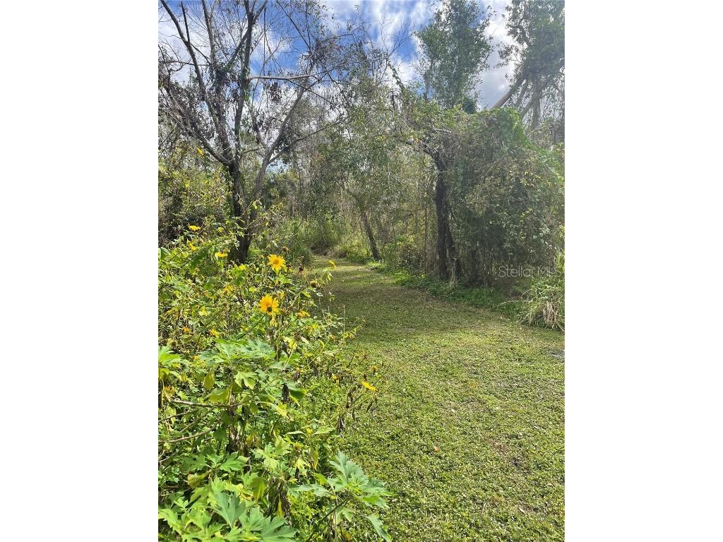 12355 Doris Road Parrish FL 34219 A4627945 image16