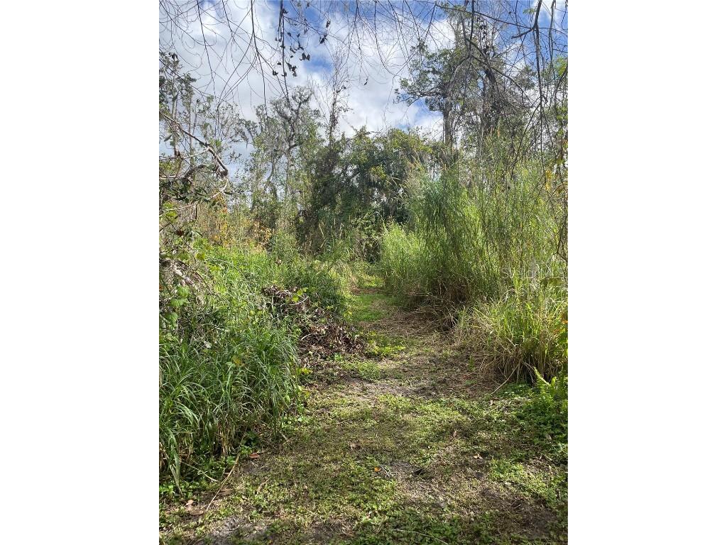 12355 Doris Road Parrish FL 34219 A4627945 image17