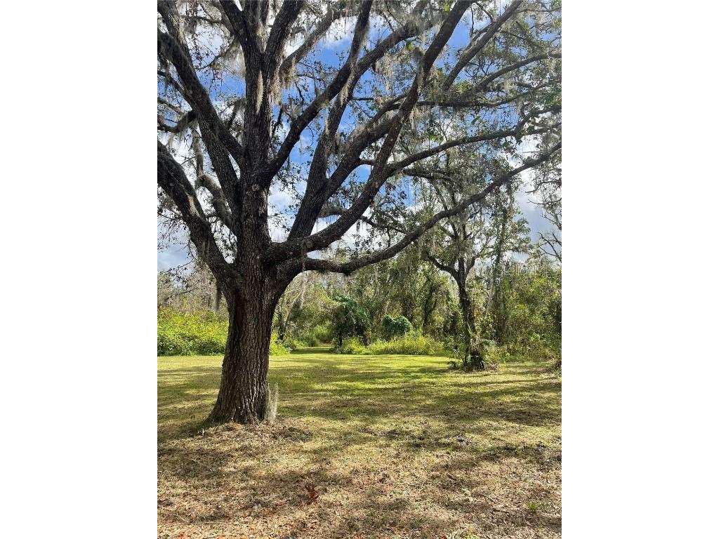 12355 Doris Road Parrish FL 34219 A4627945 image18