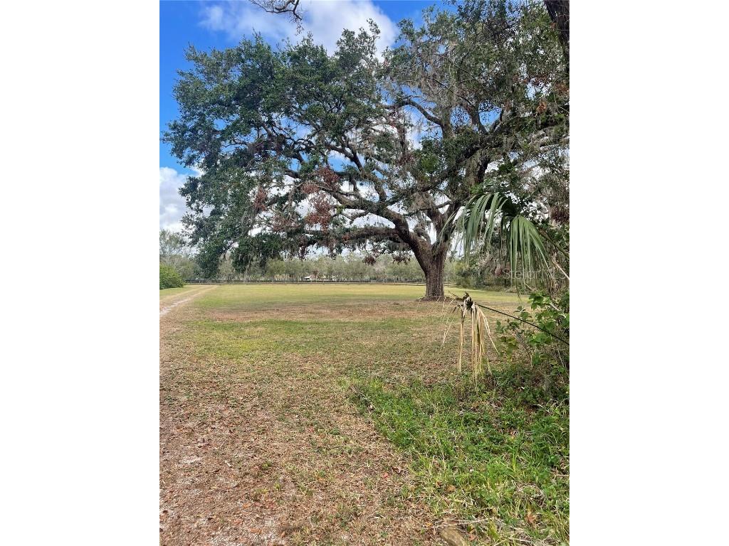 12355 Doris Road Parrish FL 34219 A4627945 image8