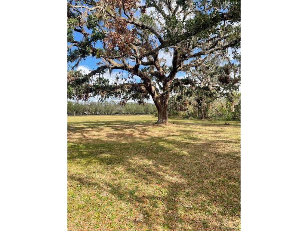 12355 Doris Road Parrish FL 34219 A4627945 image9