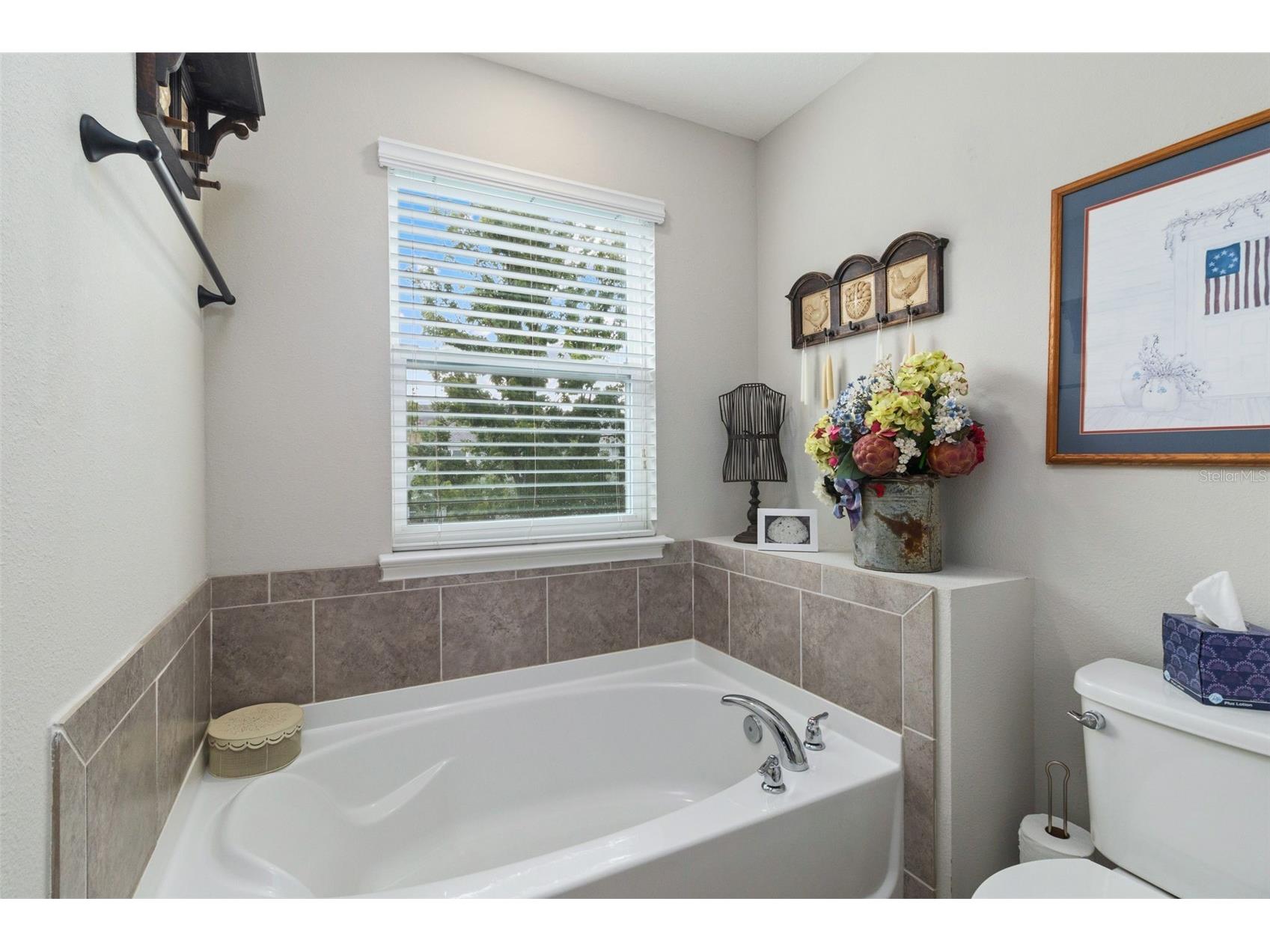 12356 Trailhead Drive Bradenton FL 34211 N6144945 image12