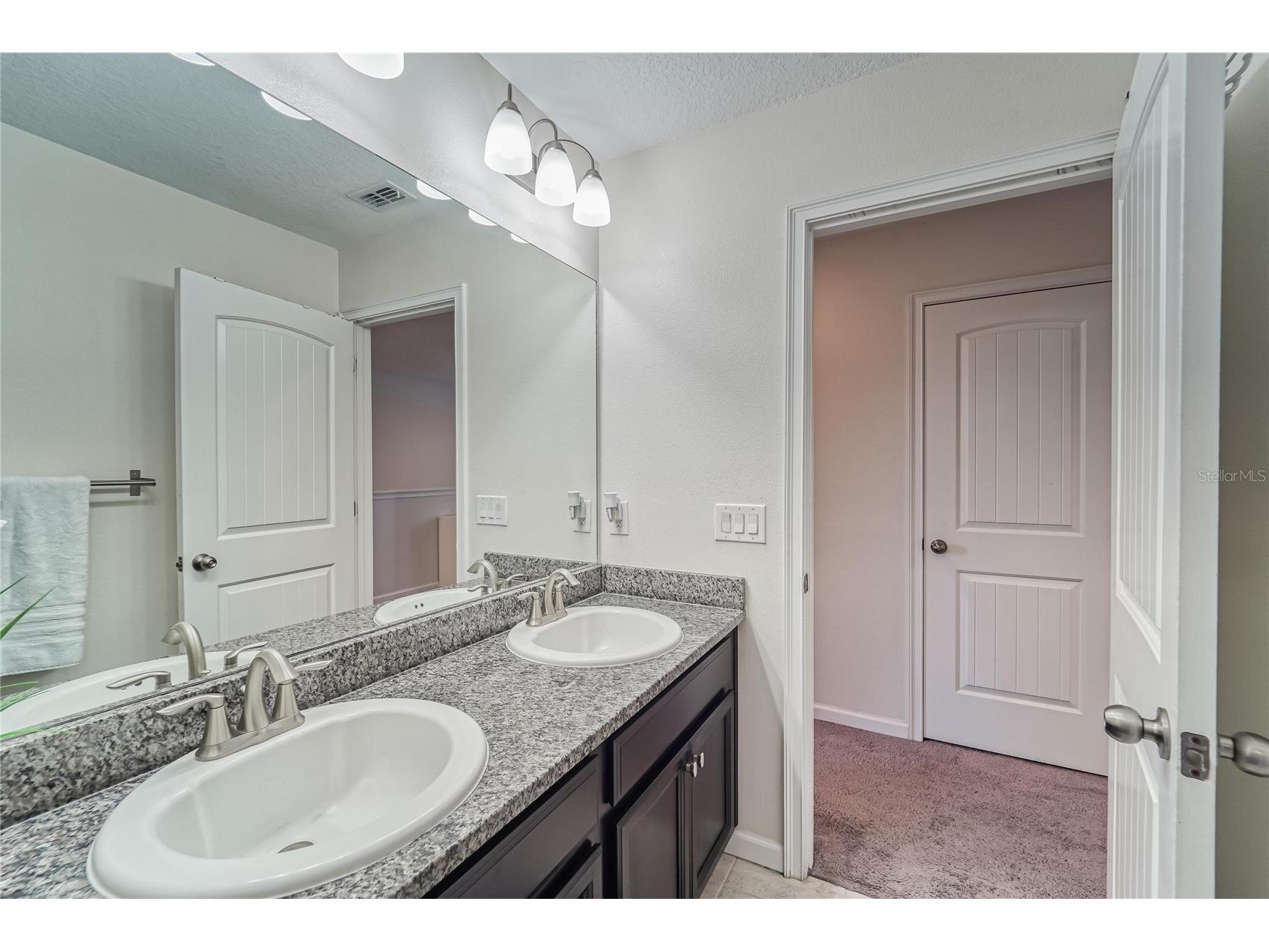 12358 Streambed Drive Riverview FL 33579 TB8480879 image35