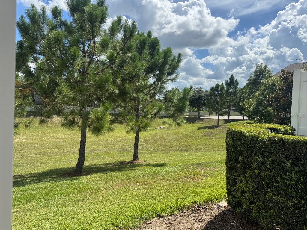 1236 Countrymen Court Apopka FL 32703 O6334338 image20