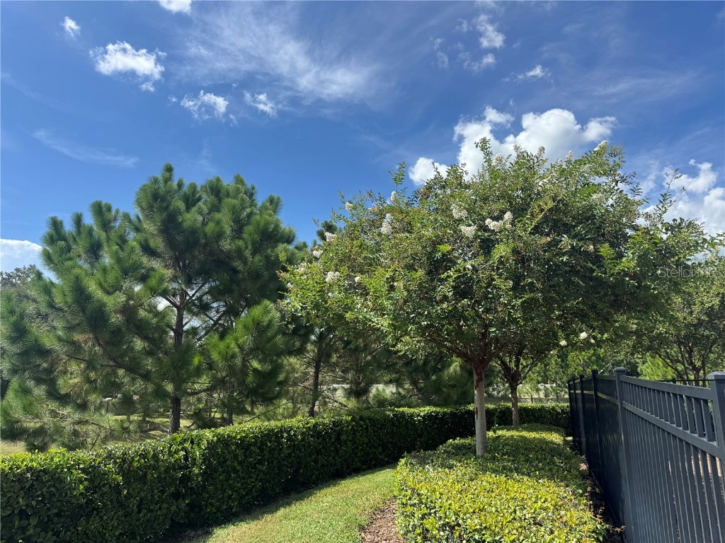 1236 Countrymen Court Apopka FL 32703 O6334338 image23