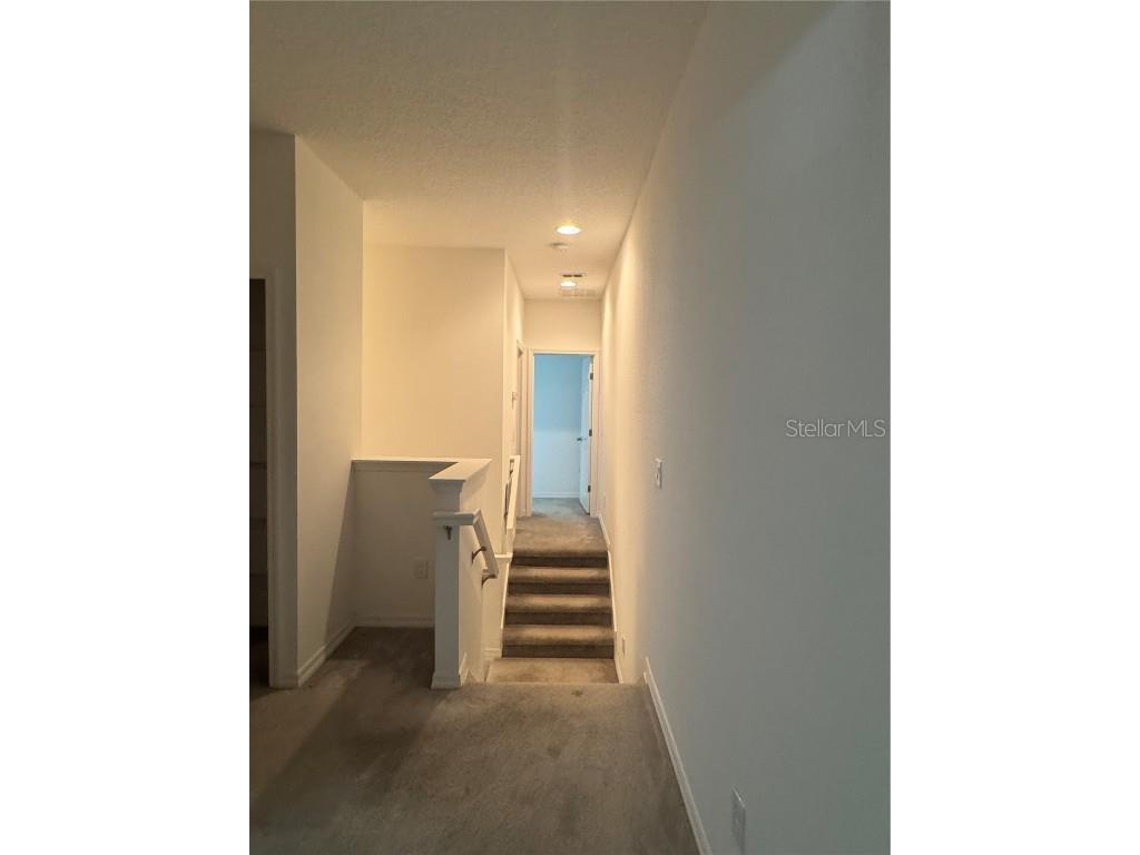 1236 Countrymen Court Apopka FL 32703 O6334338 image8