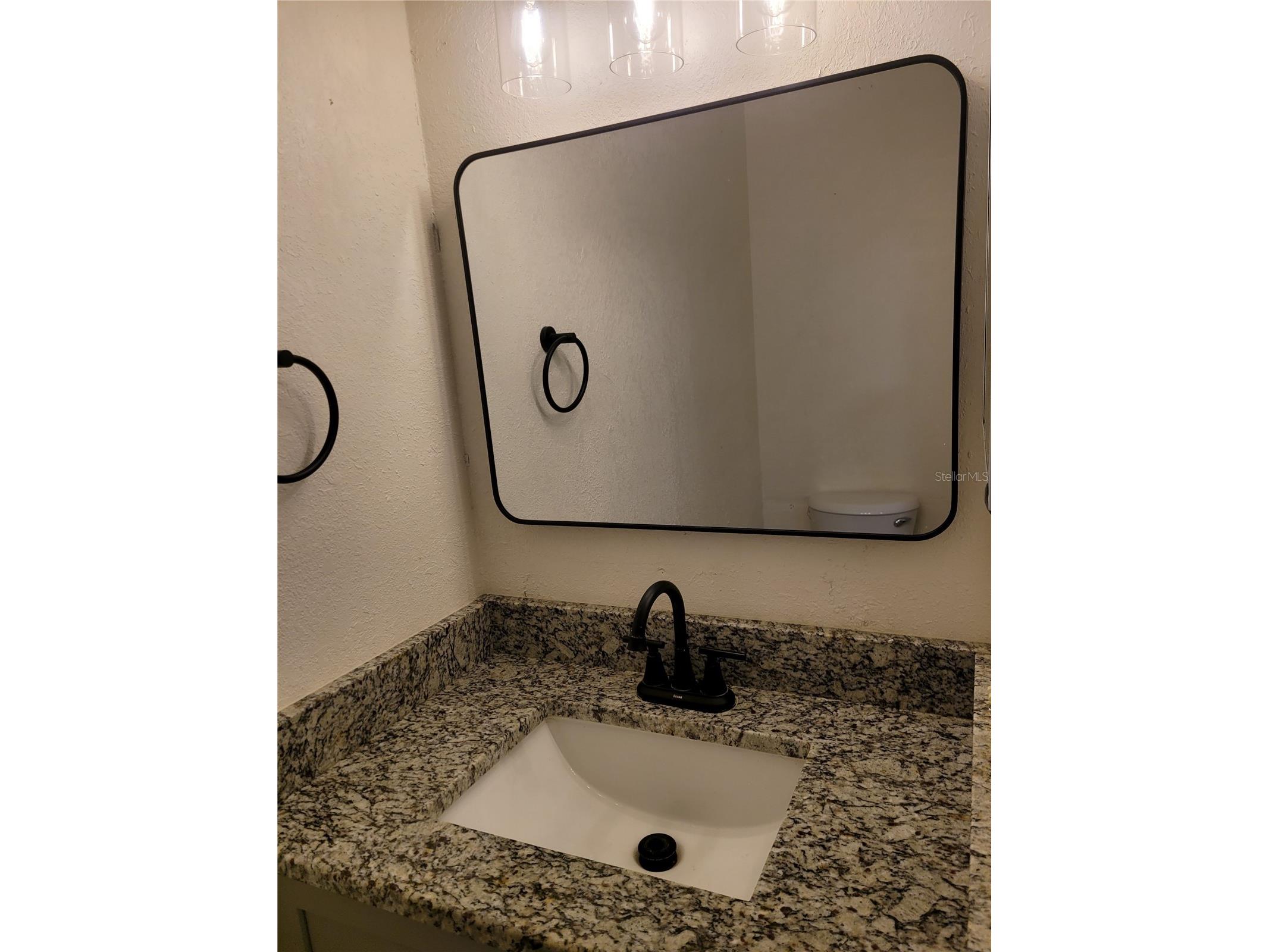 1236 Dovehill Drive #1244 Apopka FL 32703 O6374825 image22