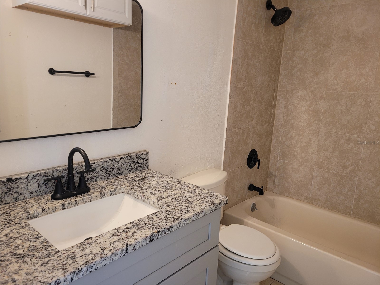 1236 Dovehill Drive #1244 Apopka FL 32703 O6374825 image33