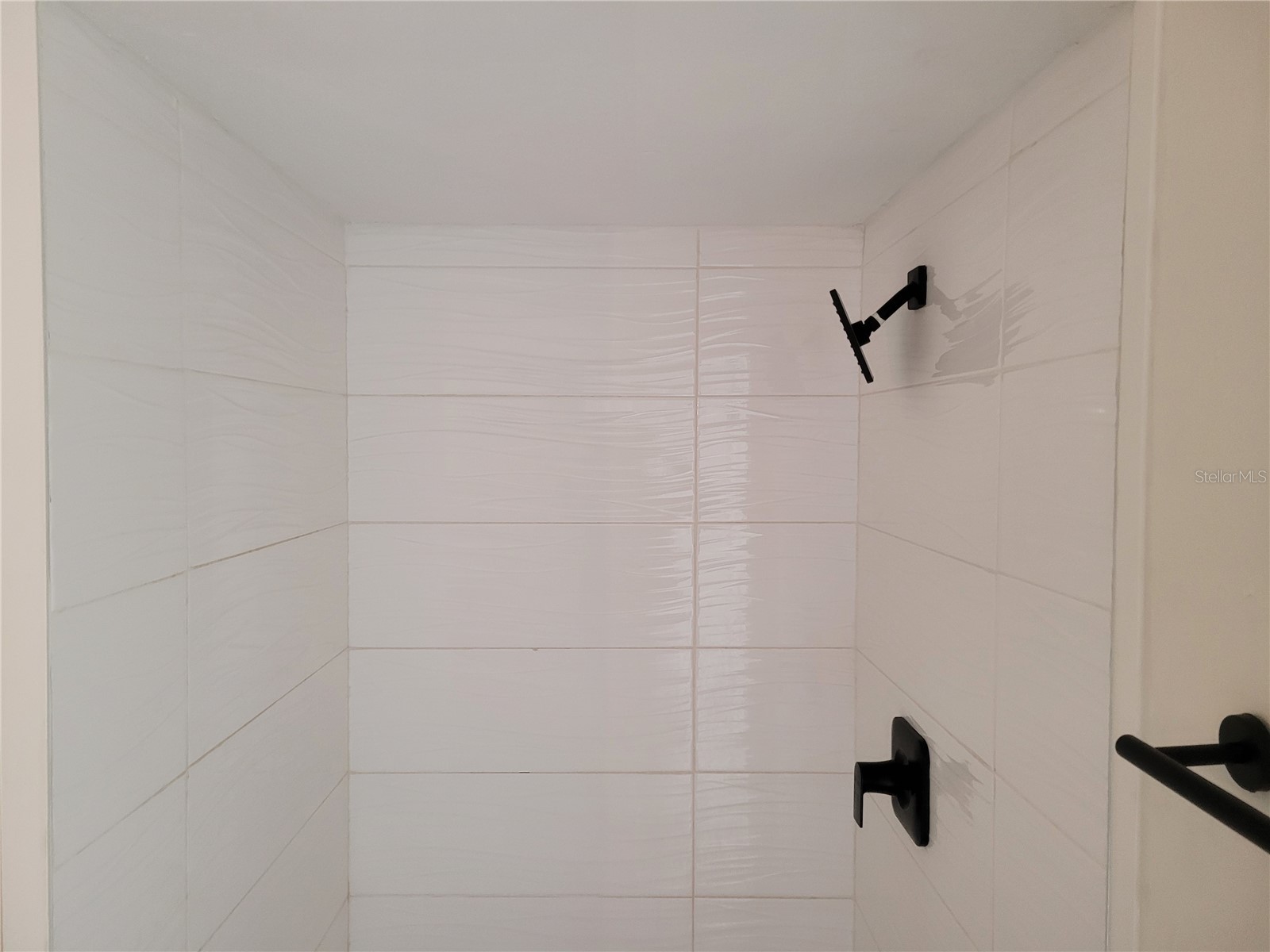 1236 Dovehill Drive #1244 Apopka FL 32703 O6374825 image40