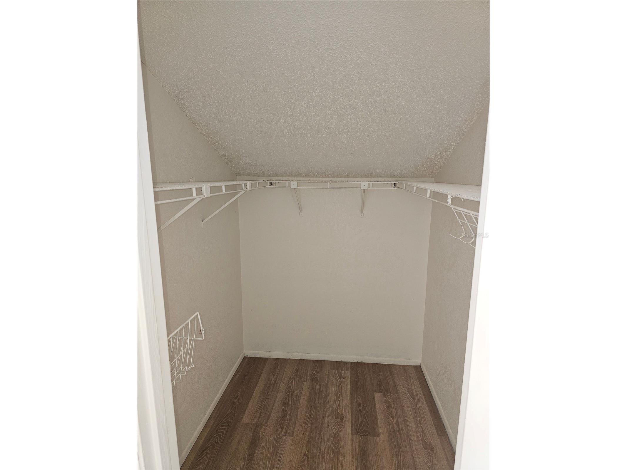 1236 Dovehill Drive #1244 Apopka FL 32703 O6374825 image42