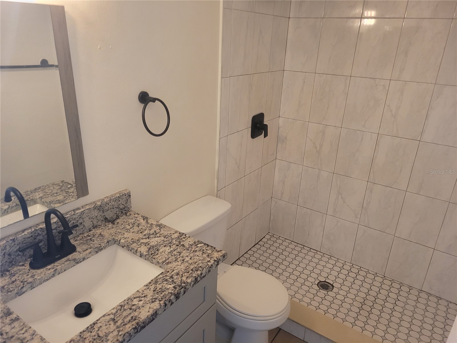 1236 Dovehill Drive #1248 Apopka FL 32703 O6390890 image13