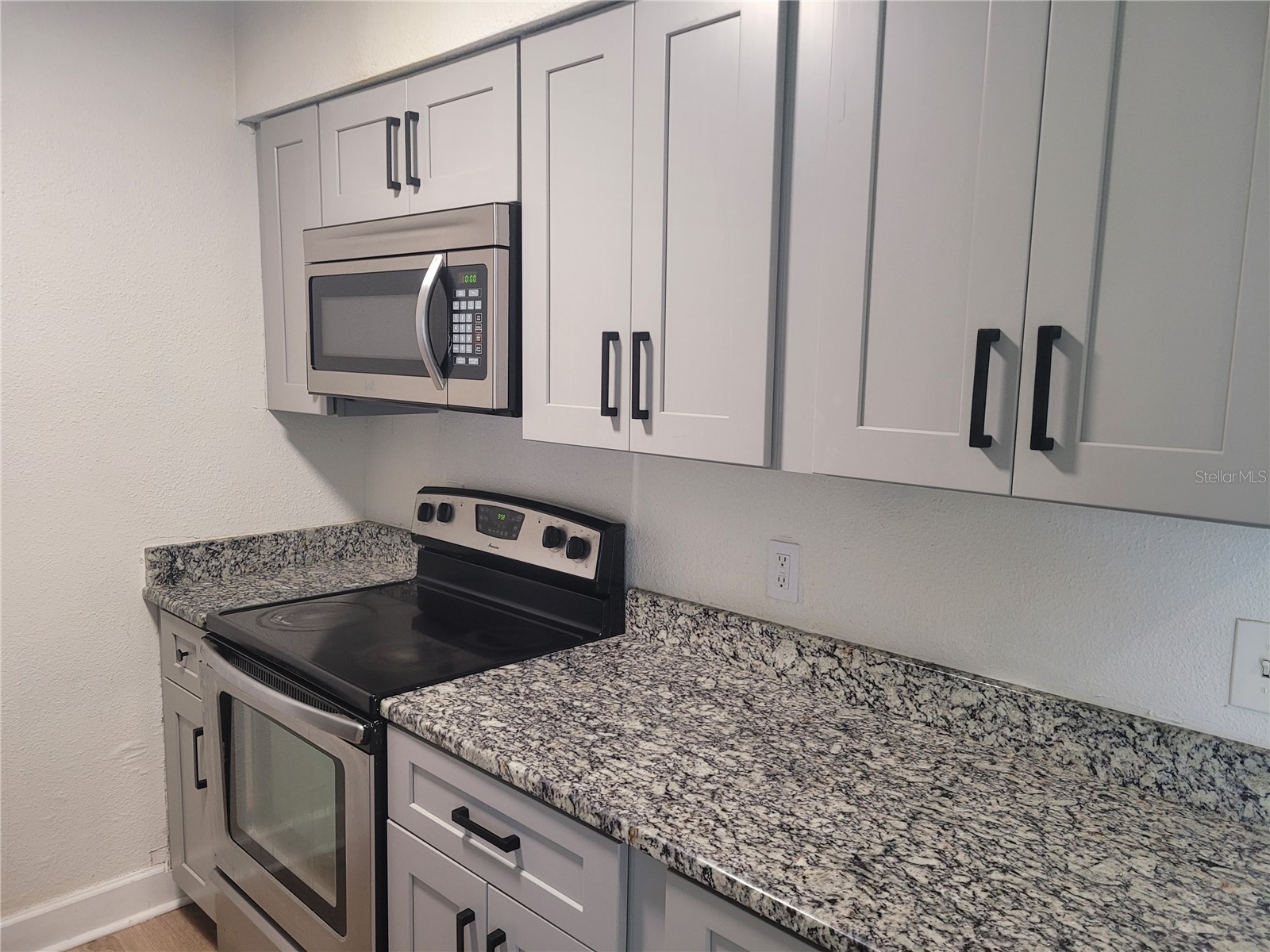 1236 Dovehill Drive #1248 Apopka FL 32703 O6390890 image21