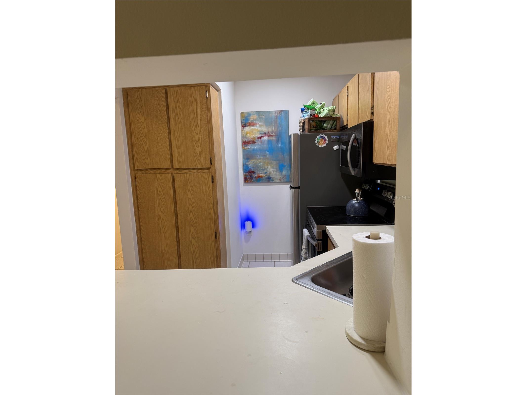 1236 Pine Ridge Circle W #G3 Tarpon Springs FL 34688 TB8490297 image4
