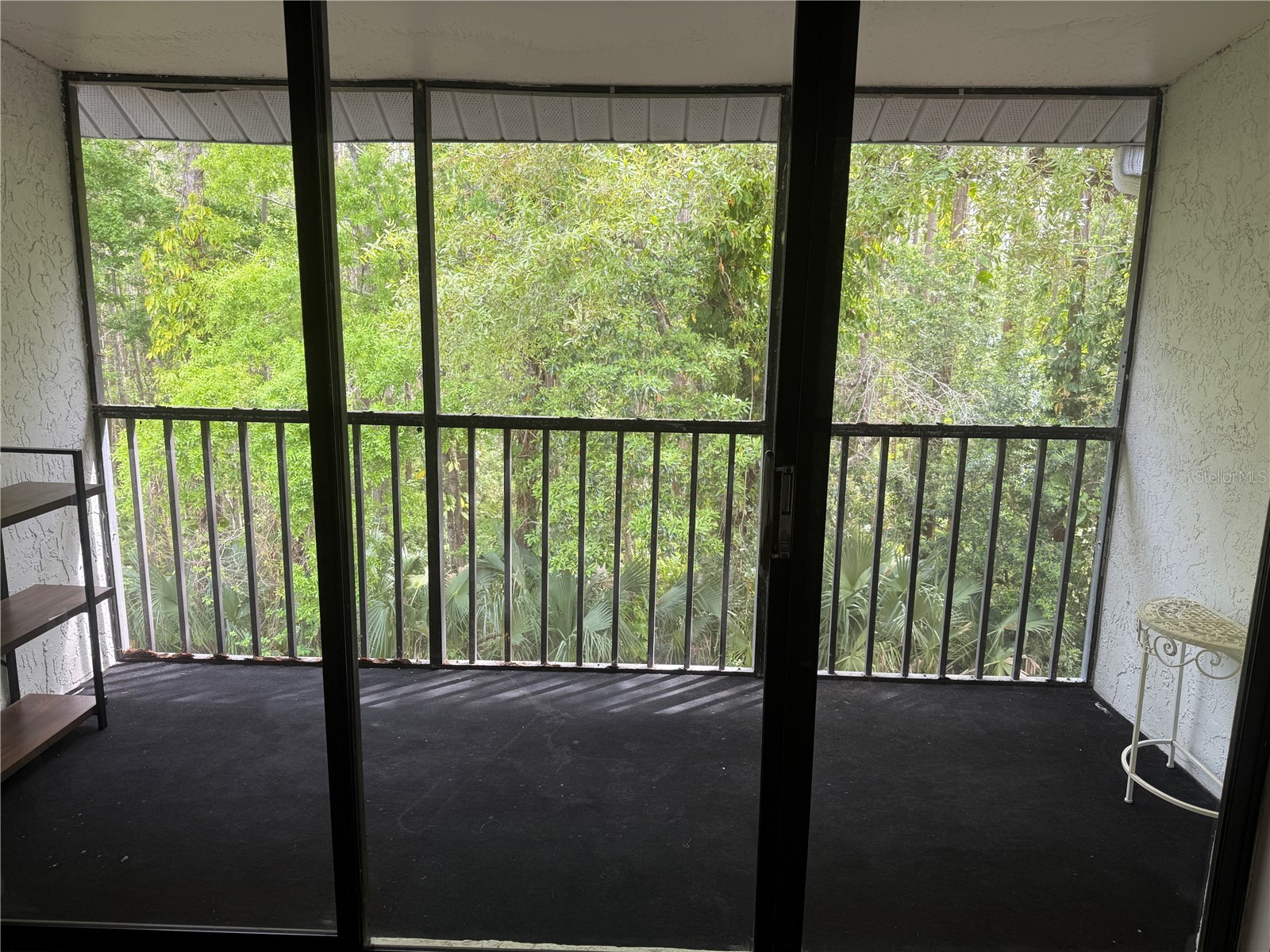 1236 Pine Ridge Circle W #G3 Tarpon Springs FL 34688 TB8490297 image6