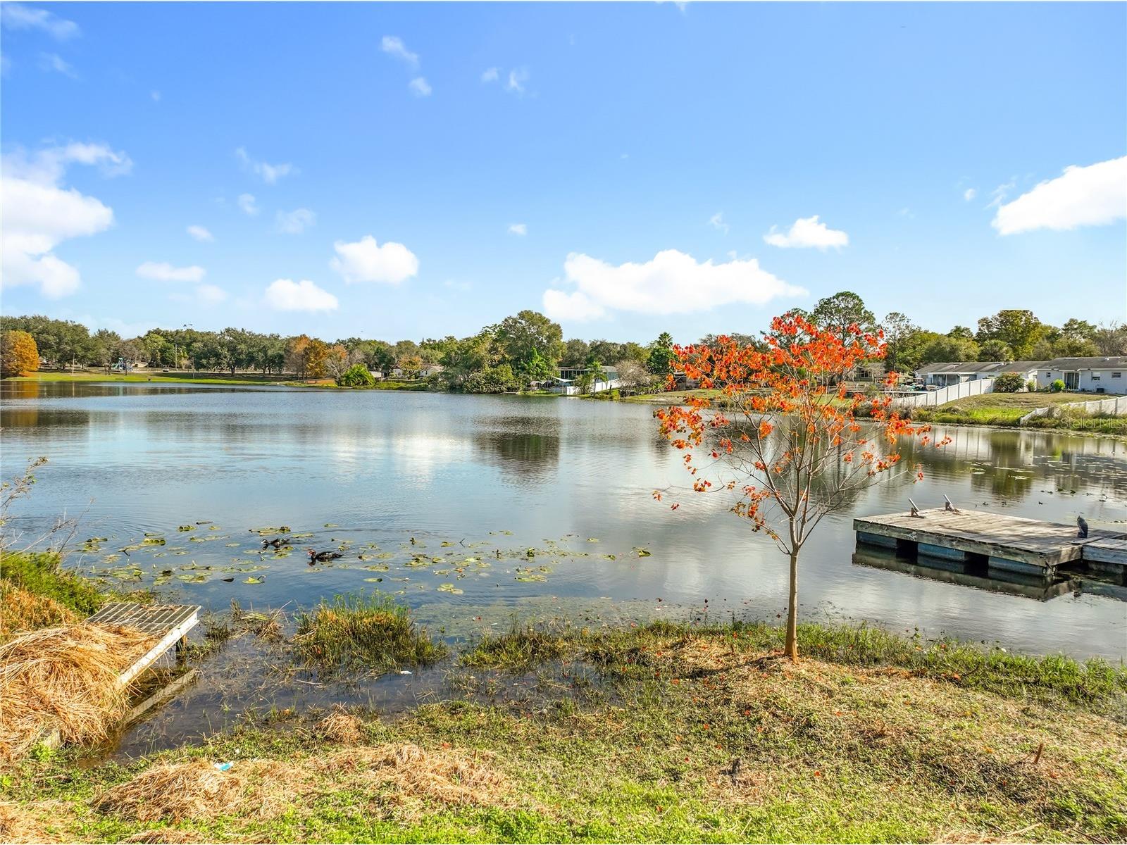 1236 Russell Drive Ocoee FL 34761 - PEACH LAKE O6377959 image32