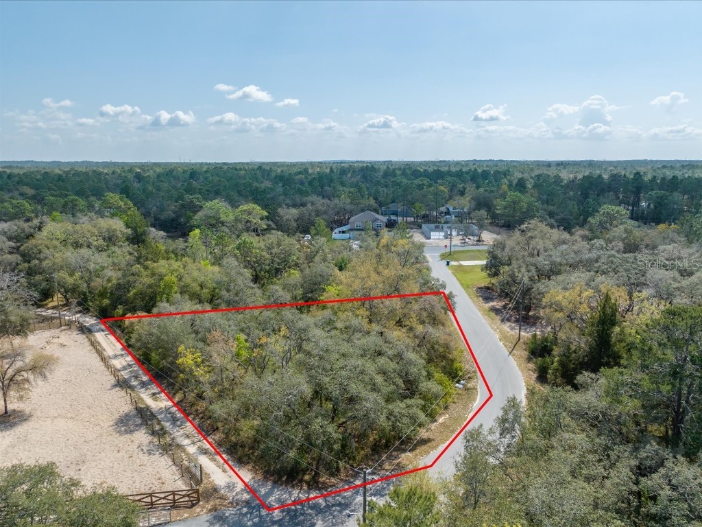 12360 Dolquieb Lane Weeki Wachee FL 34614 W7853211 image1