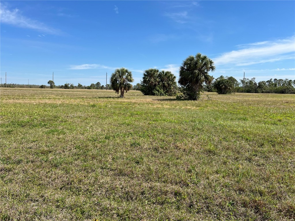 12360 Greenling Way Placida FL 33946 TB8407700 image6