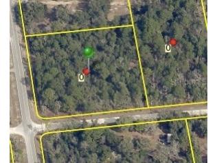 12361 Rock Duck Avenue Weeki Wachee FL 34614 W7862677 image1