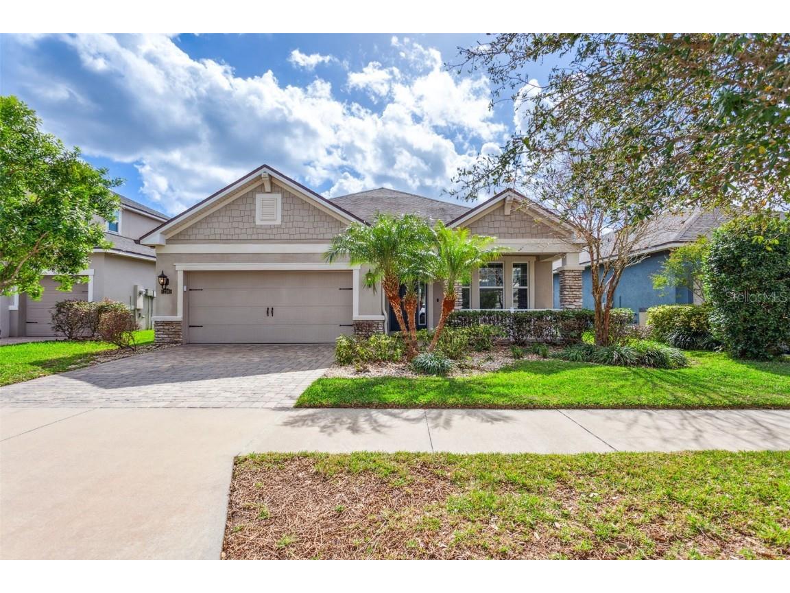 12361 Streambed Drive Riverview FL 33579 T3428050 image1