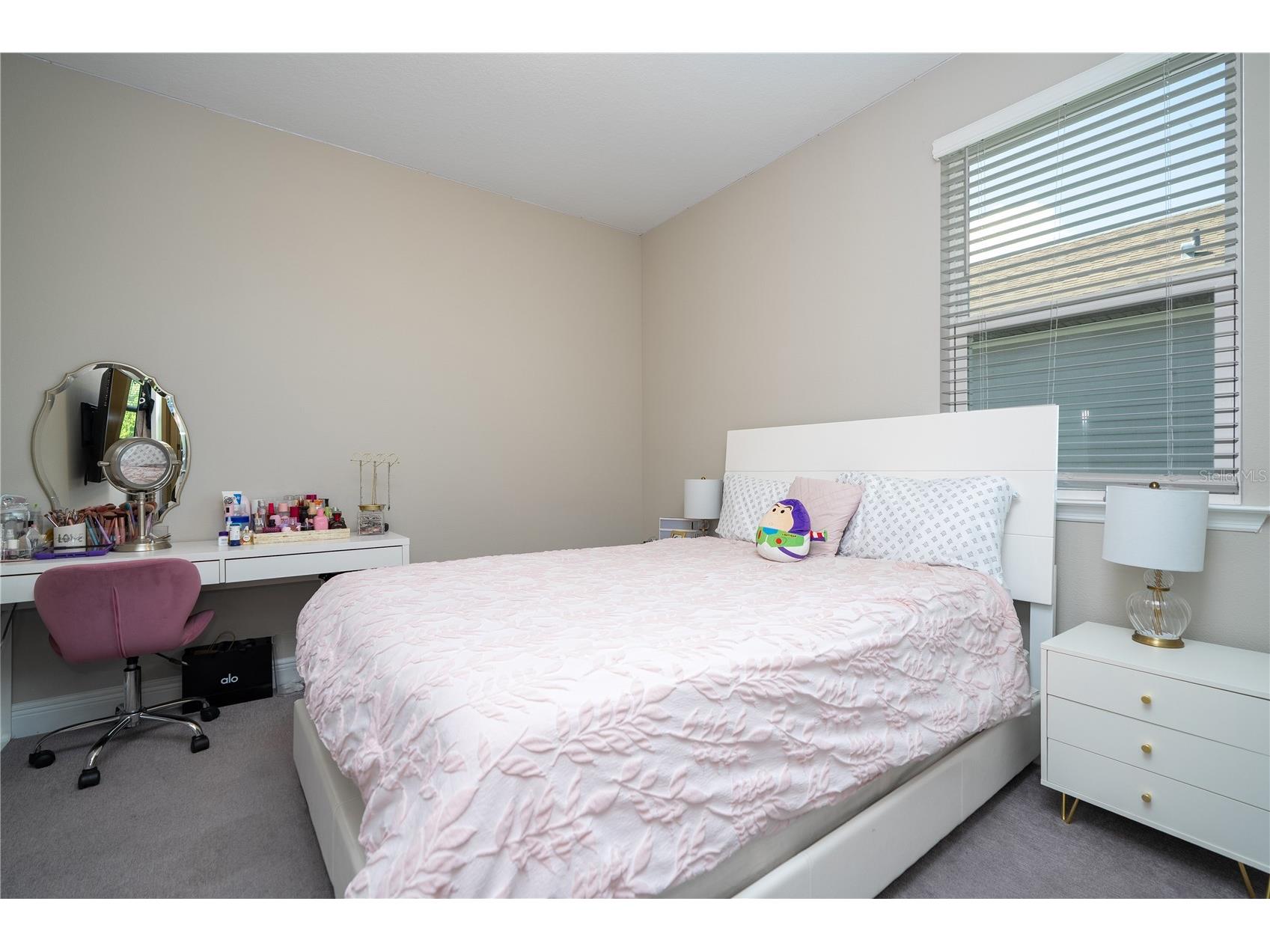 12362 Bracco Street Winter Garden FL 34787 O6404125 image22