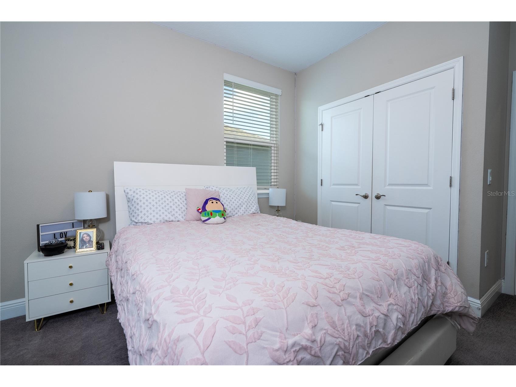 12362 Bracco Street Winter Garden FL 34787 O6404125 image23