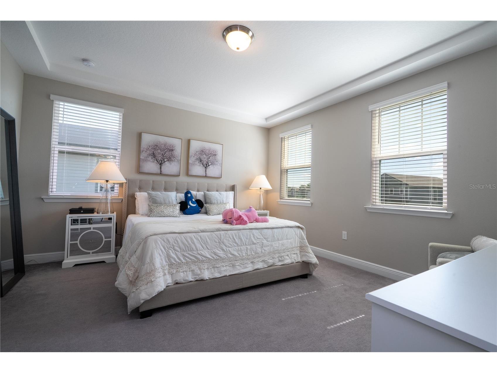 12362 Bracco Street Winter Garden FL 34787 O6404125 image34