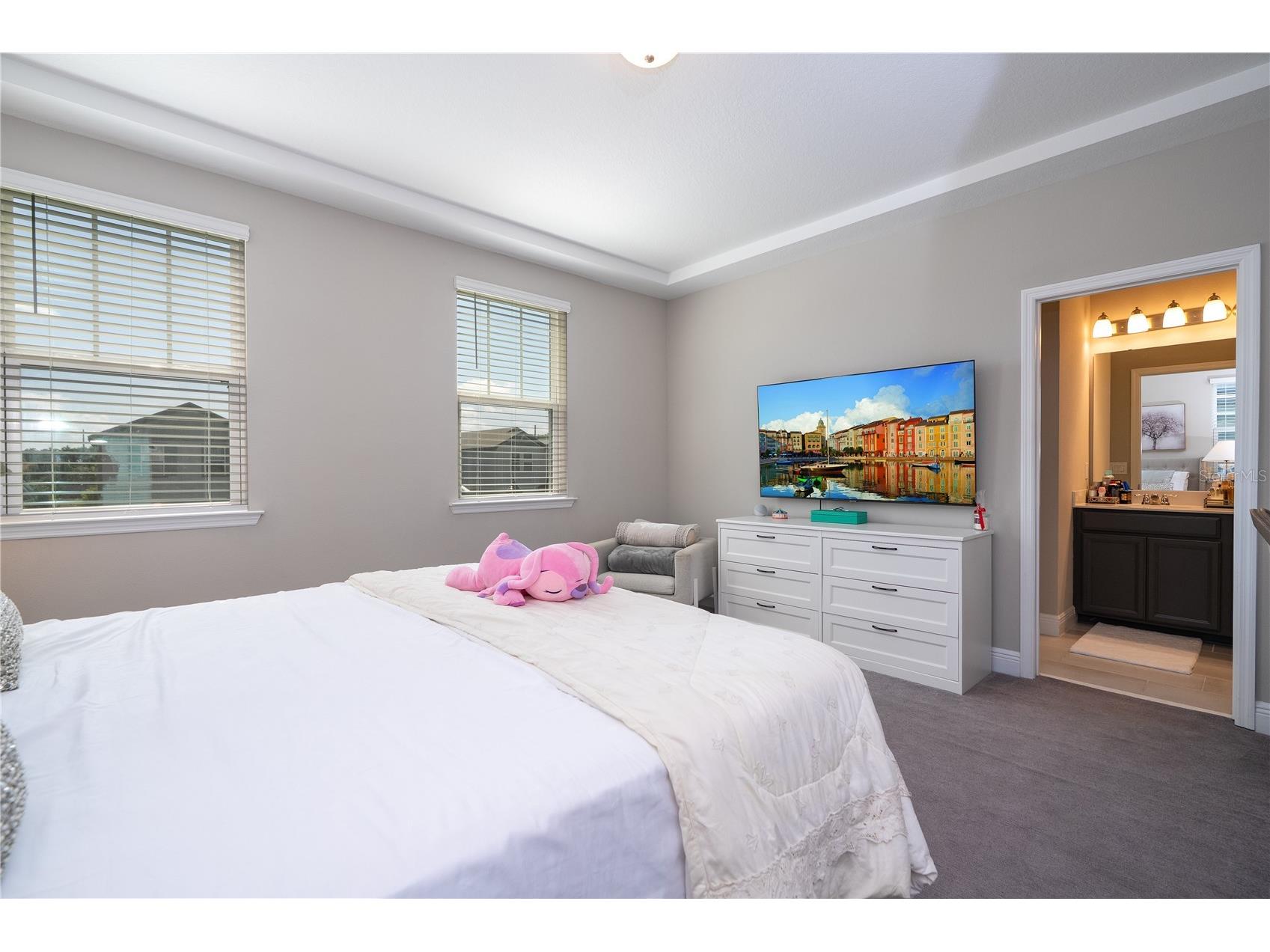 12362 Bracco Street Winter Garden FL 34787 O6404125 image36