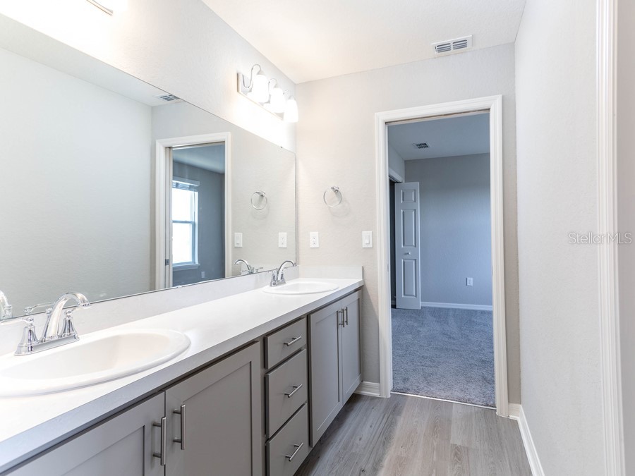 12364 Marshland Street Riverview FL 33579 L4945156 image12