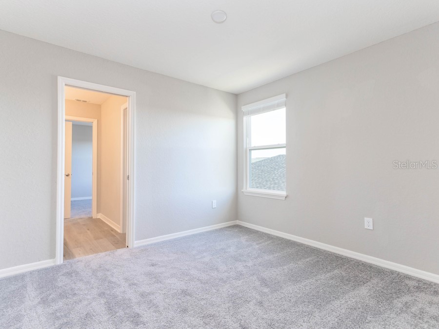 12364 Marshland Street Riverview FL 33579 L4945156 image9