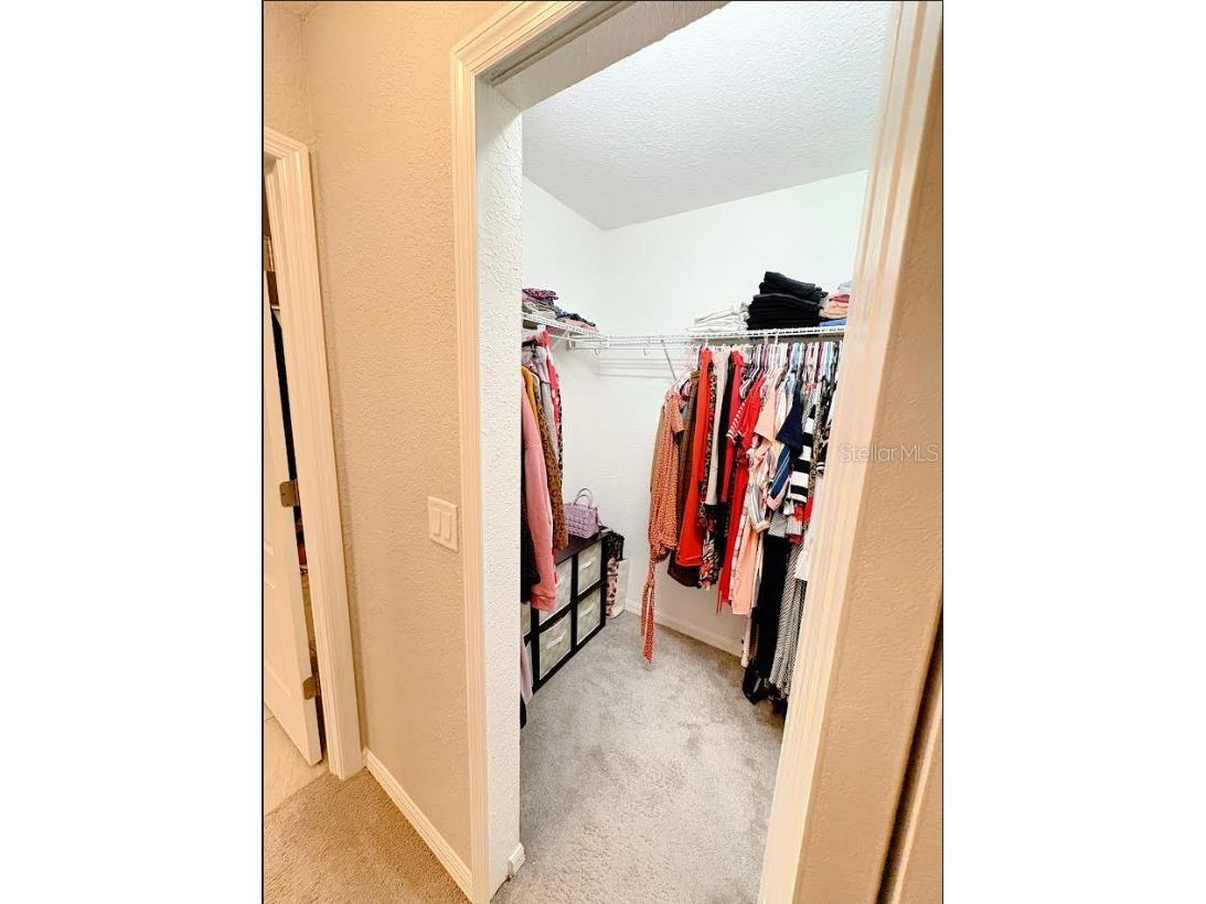 12365 Indigo Bunting Road Weeki Wachee FL 34614 TB8477154 image23